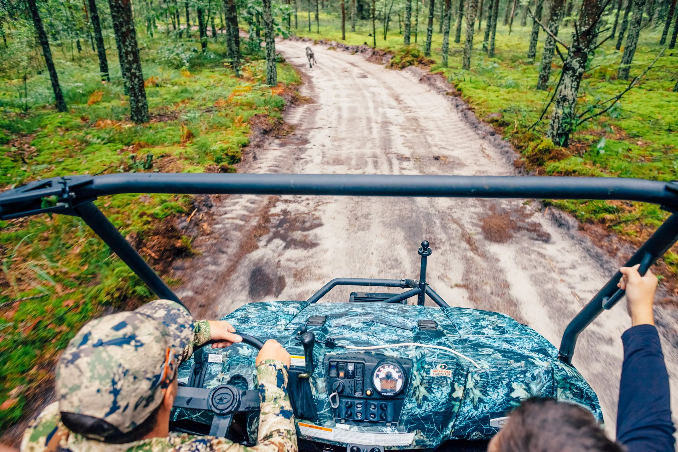Екскурсії на баггі – Зображення 40