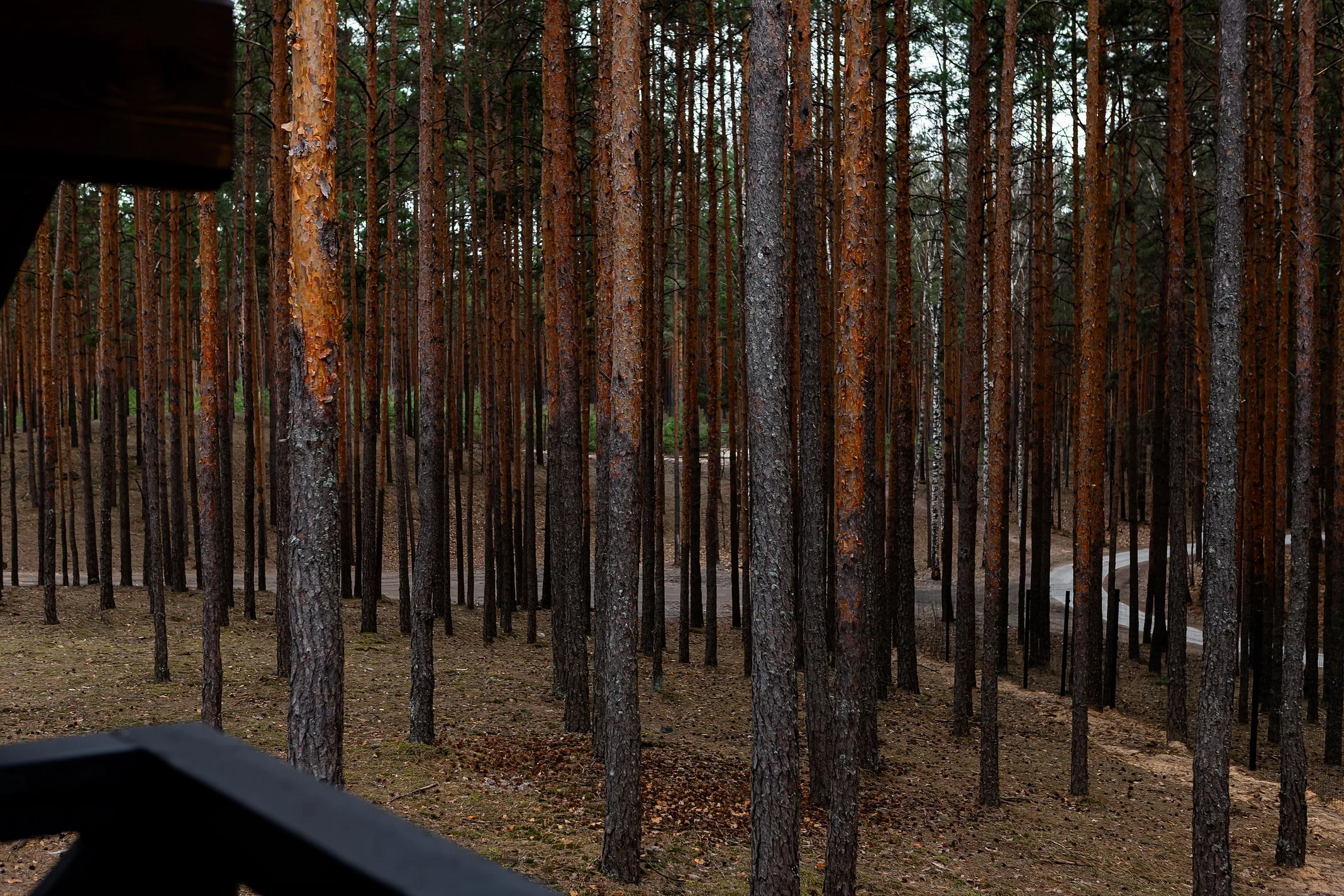 Chalet “Spokiy” – Зображення 82