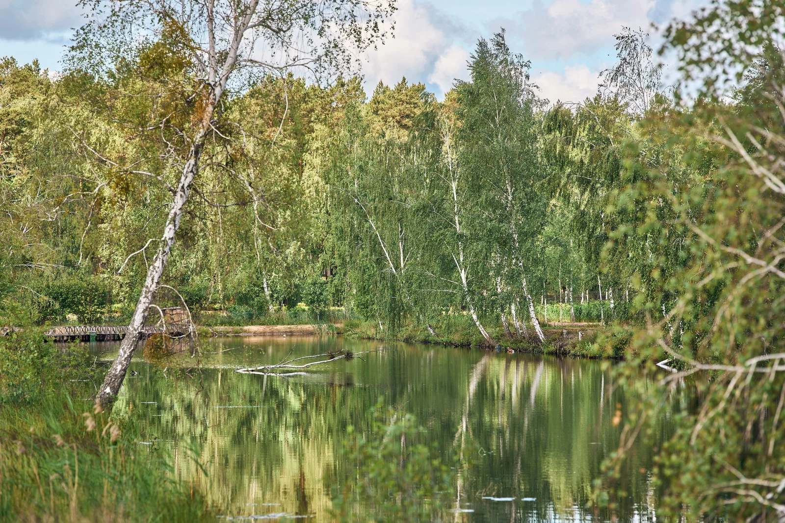 Водні краєвиди – Зображення 53