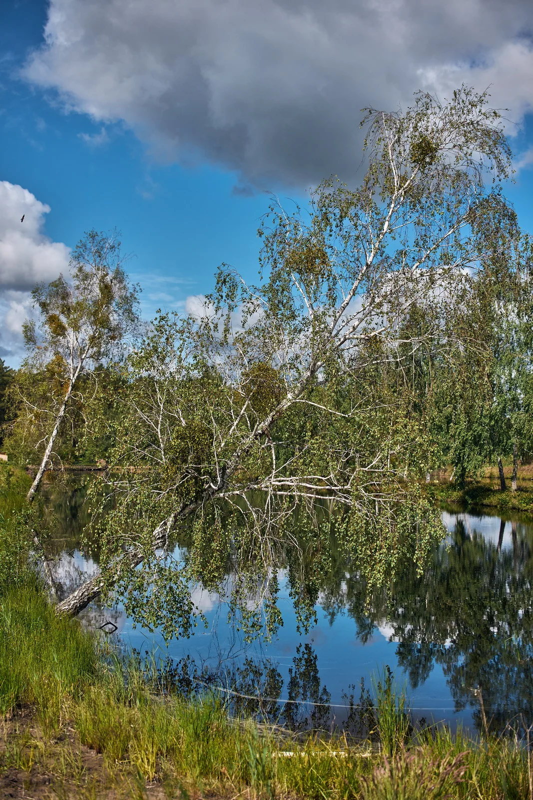 Водні краєвиди – Зображення 54
