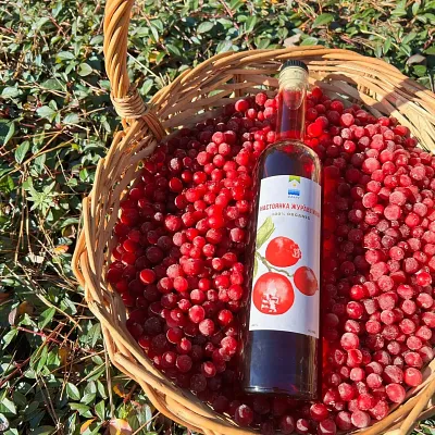 Ресторан локальної кухні – Зображення 85