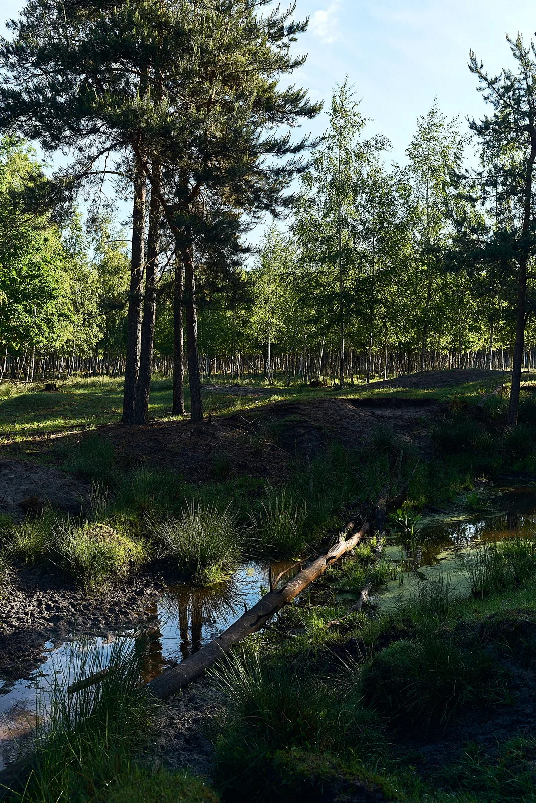 Водні краєвиди – Зображення 64