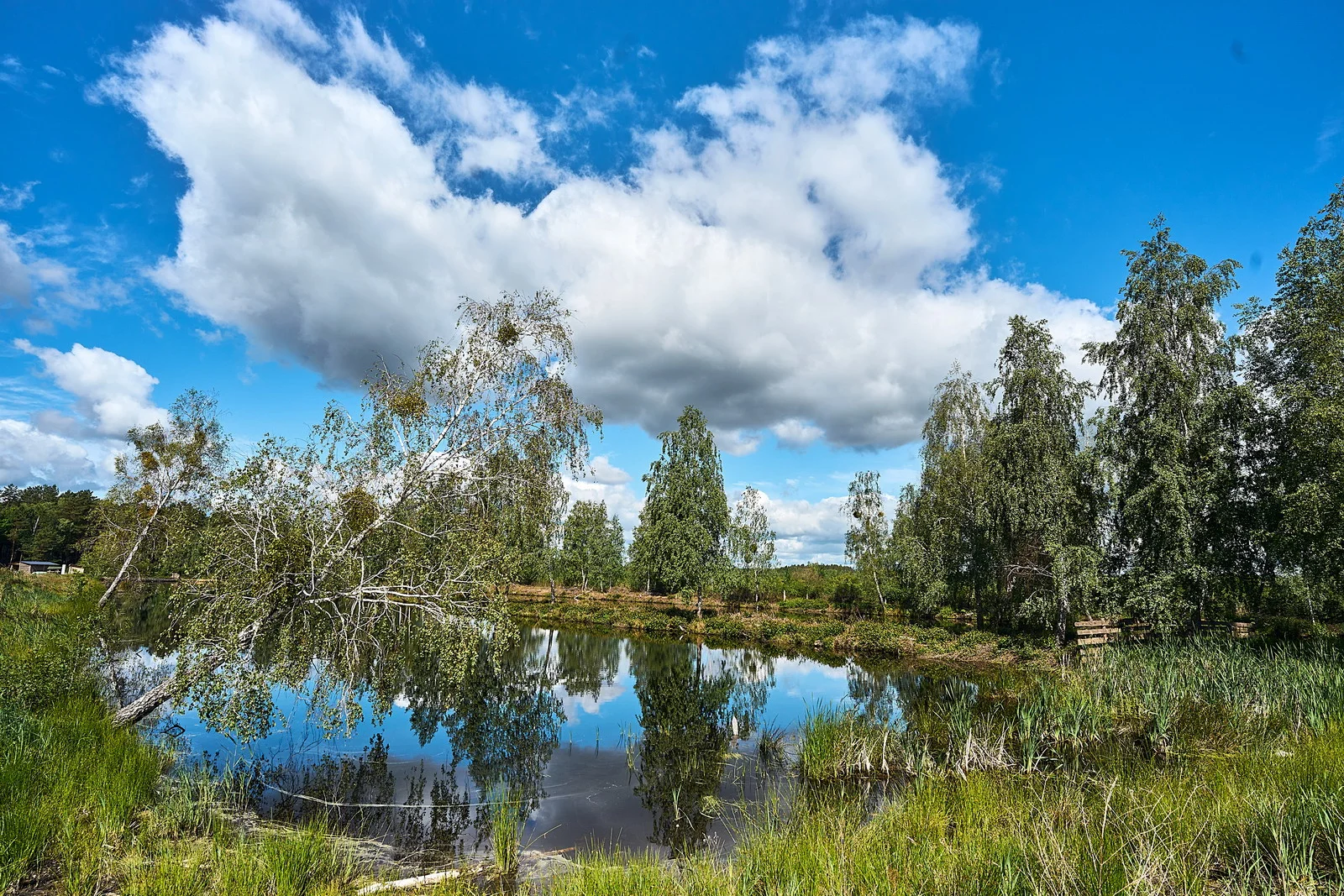 Водні краєвиди – Зображення 70