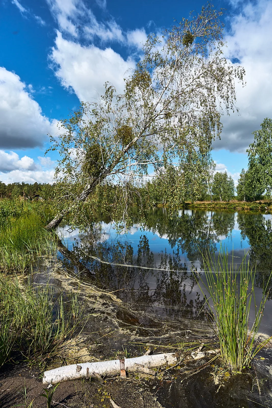 Водні краєвиди – Зображення 71